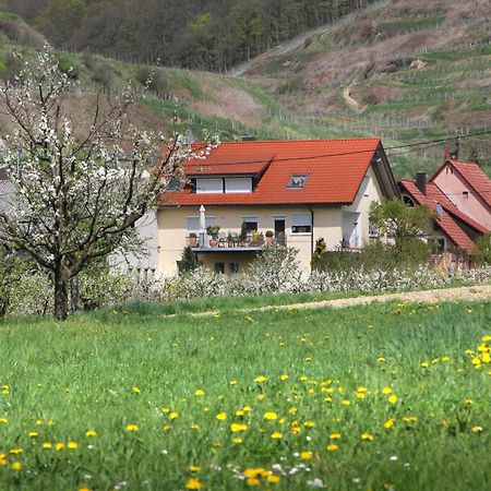 Ferienwohnung Graf Фогтсбург Экстерьер фото